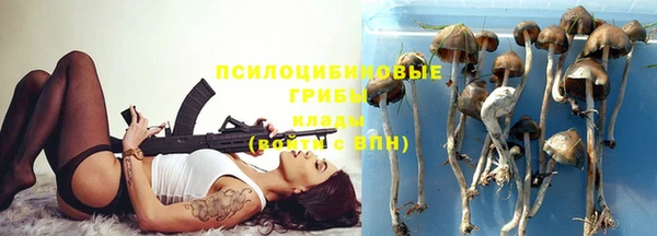 ALPHA PVP Киреевск