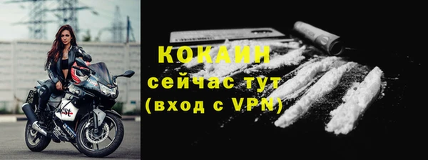 дурь Гусев