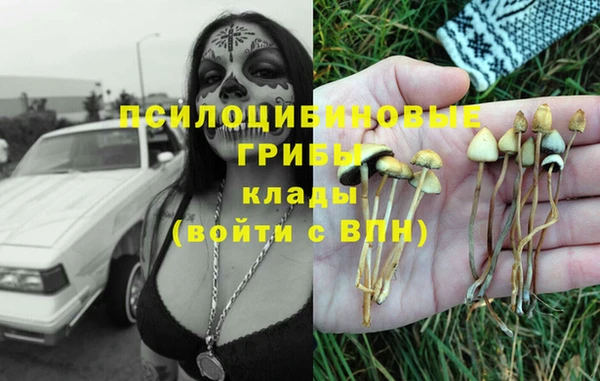 ешки Гусь-Хрустальный