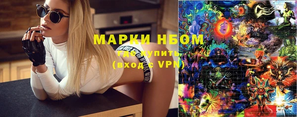 ешки Гусь-Хрустальный