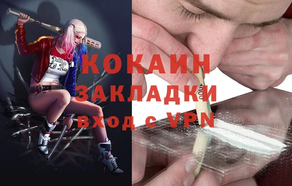 ешки Гусь-Хрустальный