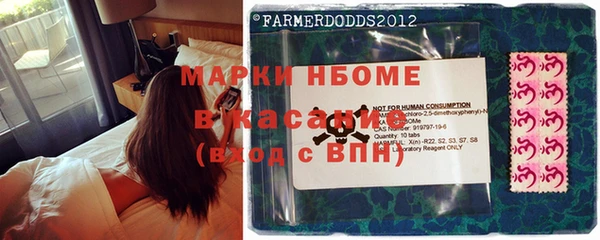 ешки Гусь-Хрустальный