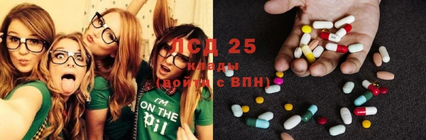 ешки Гусь-Хрустальный