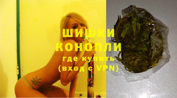 ешки Гусь-Хрустальный