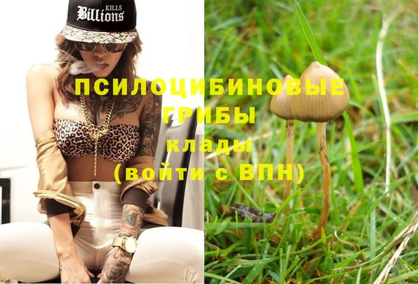 хмурый Гусиноозёрск