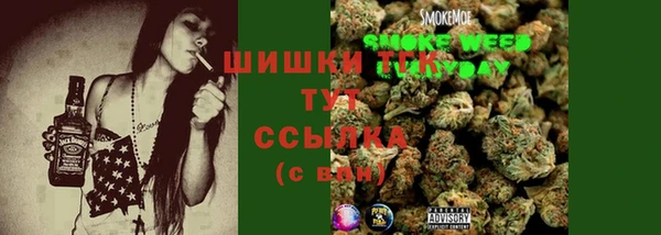 дурь Гусев