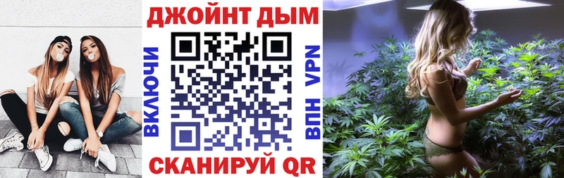 купить  сайты  Жиздра  Канабис ГИДРОПОН 